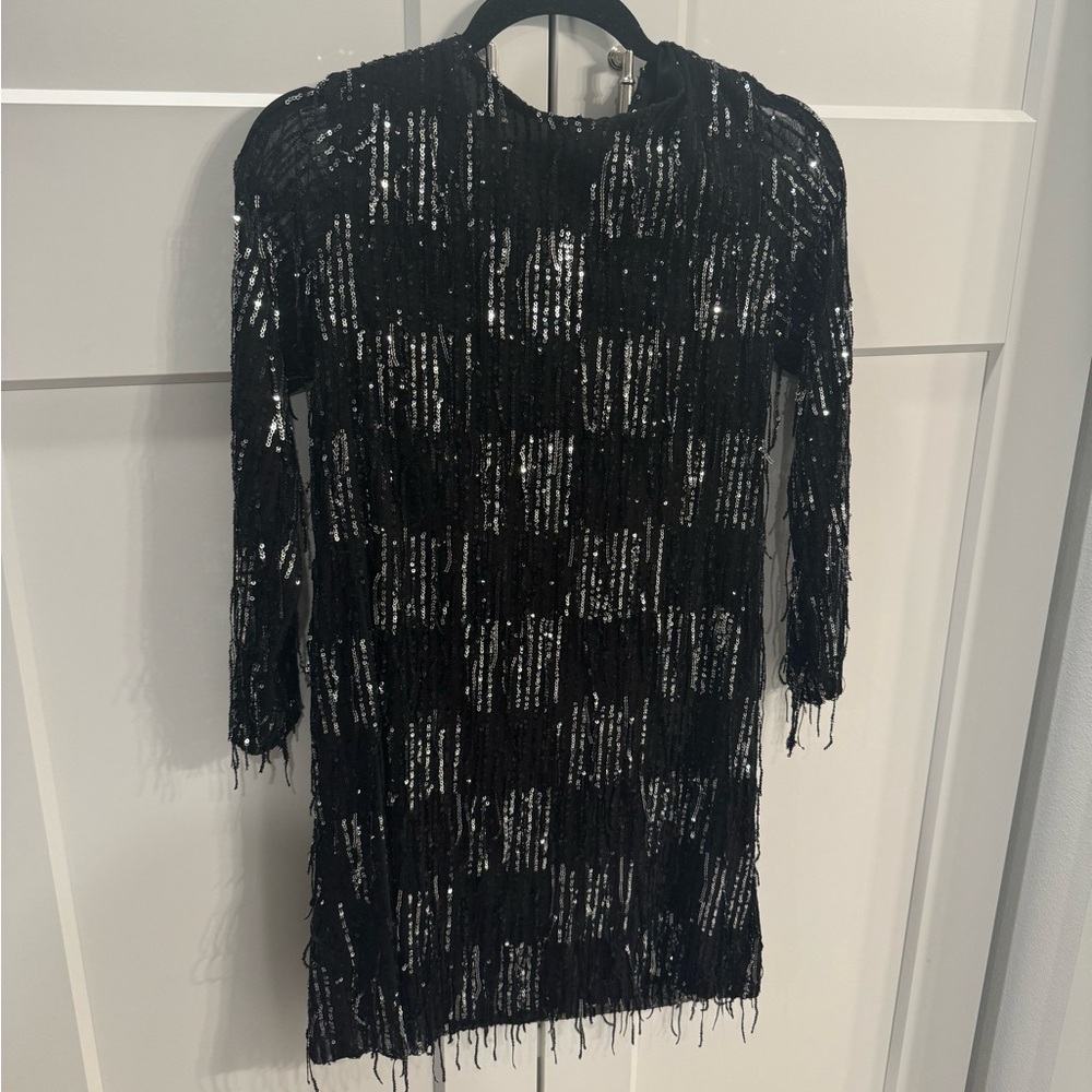 Zara Sequin Fringed Mini Dress - Picture 2 of 3
